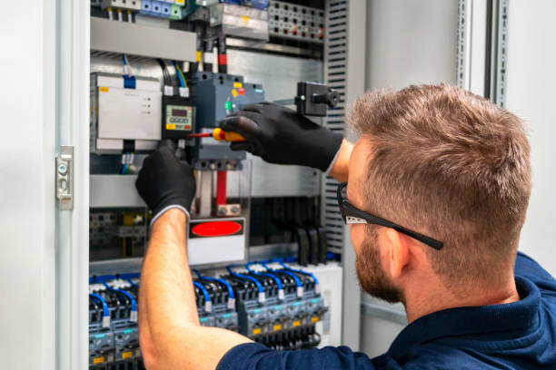 Best Licensed Electrician  in Dassel, MN