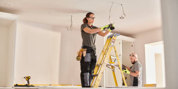 Best Outdoor Lighting Installation  in Dassel, MN