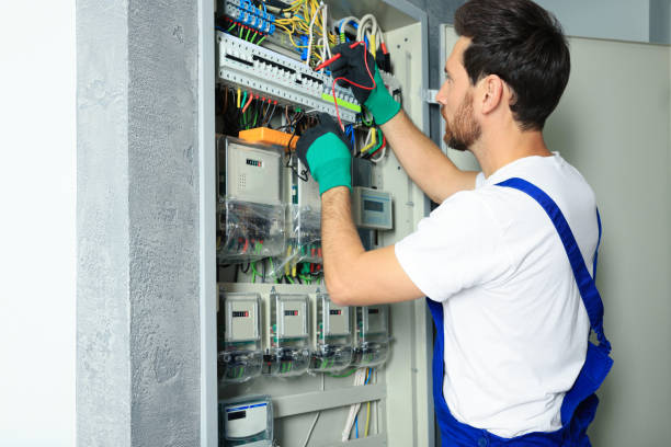 Best Electric Panel Repair  in Dassel, MN